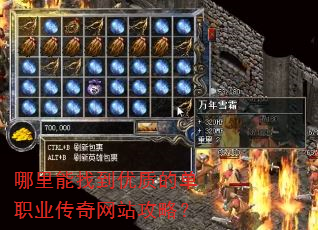�������ҵ����ʵĵ�ְҵ������վ���ԣ�
