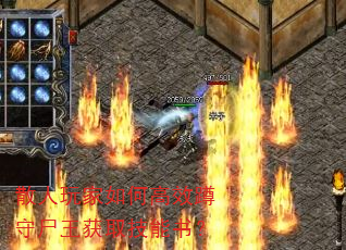 ɢ�������θ�Ч����ʬ����ȡ�����飿