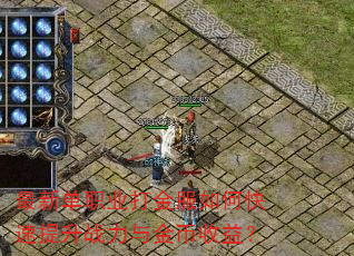 ���µ�ְҵ������ο�������ս���������棿