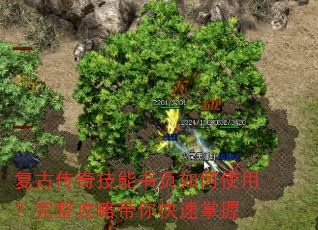 复古传奇技能书页如何使用?完整攻略带你快速掌握 复古传奇技能书页如何使用?完整攻略带你快速掌握