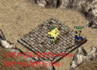 ����ڹ��ʷ�������Ч��ȡ����˽�����¹��ԣ�