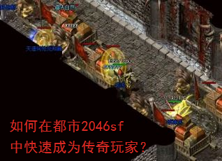 ����ڶ���2046sf�п��ٳ�Ϊ������ң�