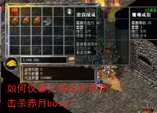 ��ν����˺�ս���ɹ���ɱ����boss��