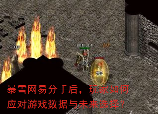 暴雪网易分手后,玩家如何应对游戏数据与未来选择? 暴雪网易分手后,玩家如何应对游戏数据与未来选择?