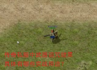 传奇私服中武器诅咒效果具体有哪些实战用途? 传奇私服中武器诅咒效果具体有哪些实战用途?