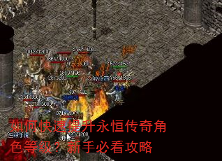 如何快速提升永恒传奇角色等级?新手必看攻略 如何快速提升永恒传奇角色等级?新手必看攻略