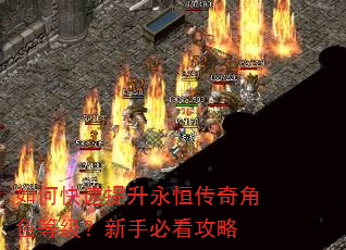 如何快速提升永恒传奇角色等级?新手必看攻略 如何快速提升永恒传奇角色等级?新手必看攻略