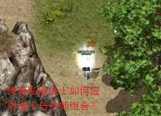 ����˽��սʿ���Ӧ�Ե�ʿ�뷨ʦ��ϣ�