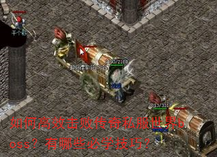 ��θ�Ч���ܴ���˽������boss������Щ��ѧ���ɣ�