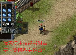 玩家使用技能书时需要注意哪些关键点? 玩家使用技能书时需要注意哪些关键点?