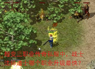 超变三职业传奇私服中,战士法师道士哪个职业升级最快? 超变三职业传奇私服中,战士法师道士哪个职业升级最快?