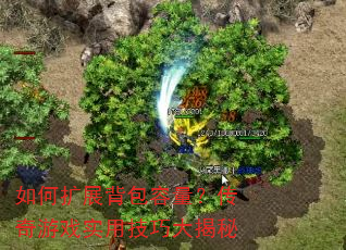 如何扩展背包容量?传奇游戏实用技巧大揭秘 如何扩展背包容量?传奇游戏实用技巧大揭秘