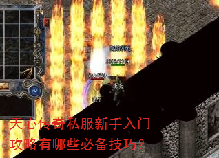 ���Ĵ���˽���������Ź�������Щ�ر����ɣ�